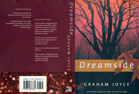 5-dreamside_scan_full