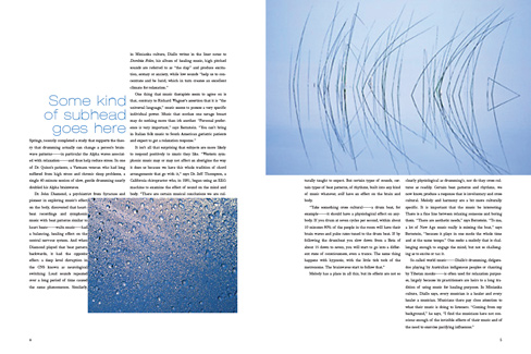 10_hush_spread8