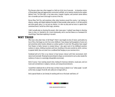 19_ripps_UT_essay